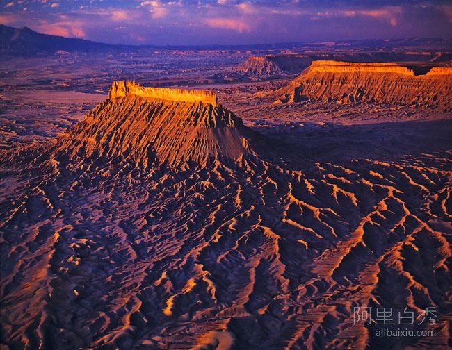 美国犹他州沙漠的罕见花海--阿里百秀